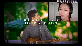 Blackbird - The Beatles feat. VITAMIN Y | Loop Cover/Improv