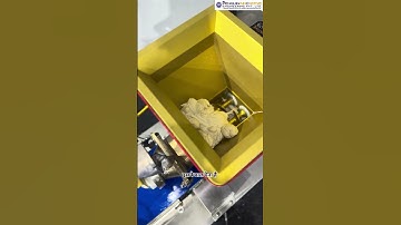 Automatic Roti Cutting Machine | Roti Fryer | Roti Maker Machine | Roti ki Machine#shortsfeed#shorts