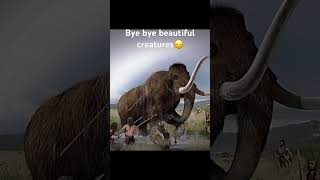 #prehistoriclife