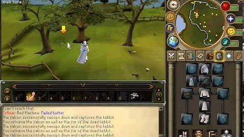 Failed runescape falconry hunter bot