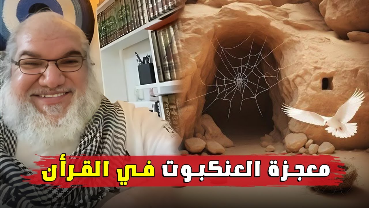 معجزة العنكبوت في القرآن تحت المجهر… محمد صالح يكشف التناقضات