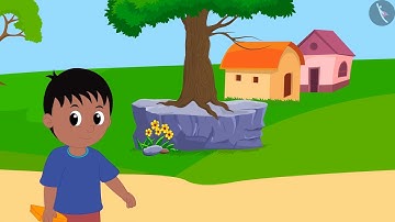 Measurement of length (standard units) | Part 2/2 | English | Class 3