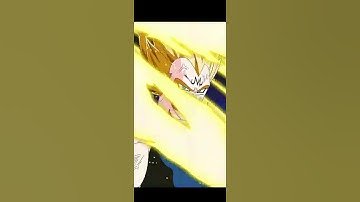 What if INT Majin Vegeta