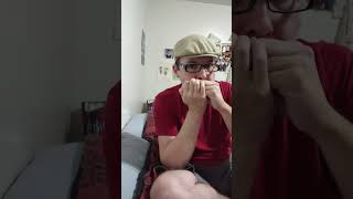 Home from the sea, the outlawed rapparee, and wild colonial boy, 3 song medley on harmonica 