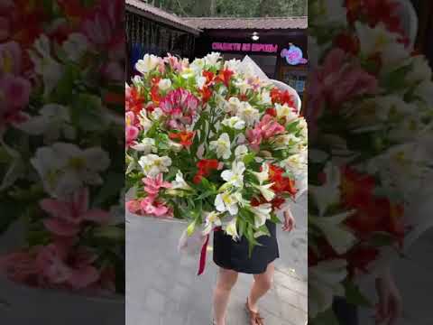 АЛЬСТРОМЕРИИ БУКЕТ С