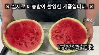 고당도 씨없는 수박 단면 영상
