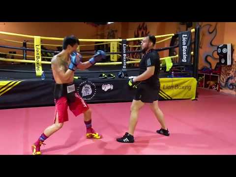 Видео: IBF Asia - Prapere for fight for the champion's belt