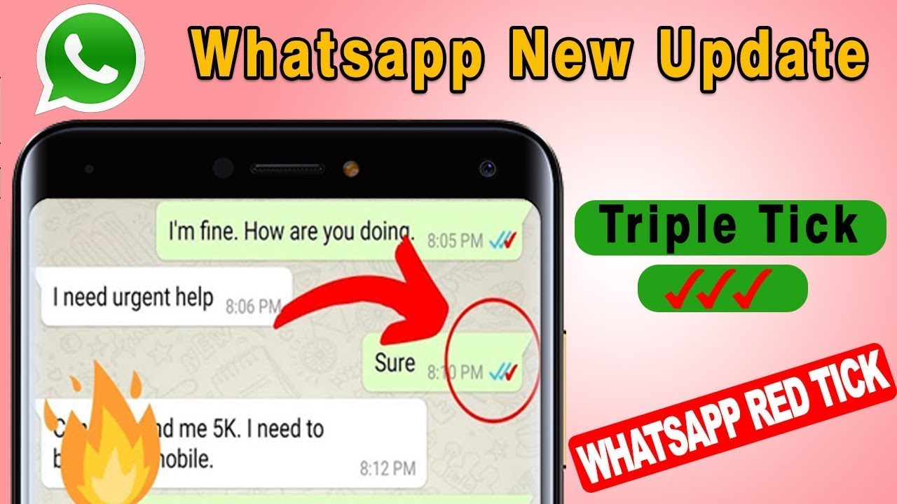 What Is Red Tick In Whatsapp Do whatsapp Red Ticks And Their Meaning What Is Red Tick In Whatsapp Do whatsapp Red Ticks And Their Meaning