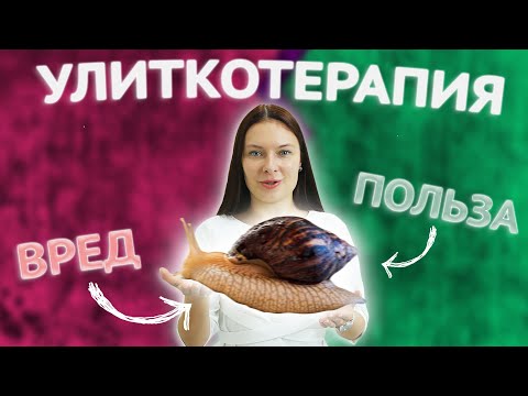 Массаж виноградными улитками в домашних условиях