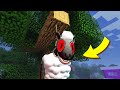 ЧТО СЛУЧИЛОСЬ С МУЛЬТЯШНОЙ ОВЦОЙ В МАЙНКРАФТ CARTOON SHEEP SCP MINECRAFT