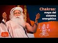 Los chakras: un mapa del sistema energético | Sadhguru