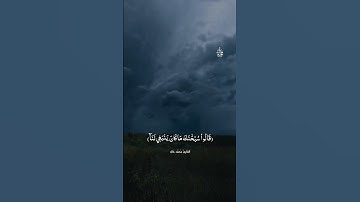 القارئ محمدخالد ##إشتراك #قران_كريم #quran #islam #motivation #fortnite #funny #fyp #لايك #اسيوط 🤍🎧