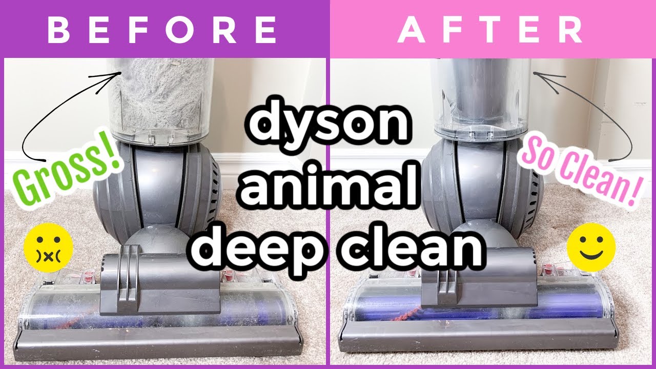 HOW TO CLEAN A DYSON ANIMAL UPRIGHT BALL VACUUM | VACUUM DEEP CLEAN | IN  DEPTH CLEANING INSTRUCTIONS - YouTube