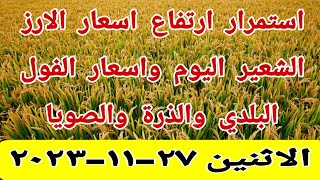 اسعار الارز الشعير اليوم اسعار الارز الابيض ومخلفات الارز واسعار الذرة والصويا اليوم