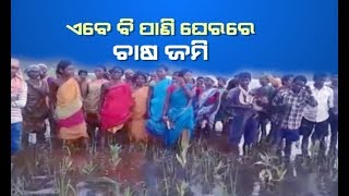 Exclusive  Rising Water Level In Balimela Dam Creates Flood Situation In Malkangiri