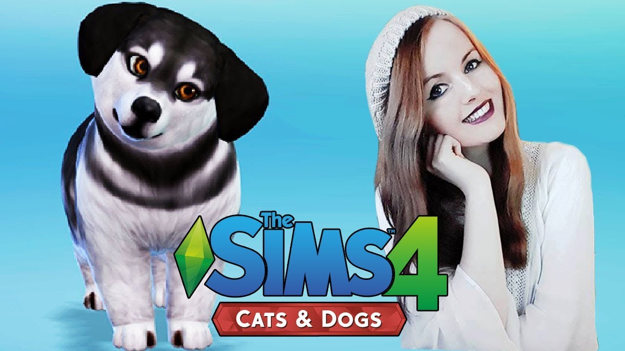 Meet Finn The Sims 4 Cats And Dogs Create A Pet Gameplay Part 1