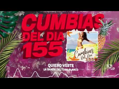 CUMBIAS DEL DÍA 155 Para Bailar Toda La Noche | Enganchados 2022 del Recuerdo y más