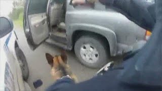 Bee County Sheriff's Office to purchase two new K-9 units