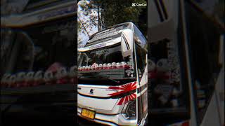 Download Lagu DJ terek bale#shorts MP3