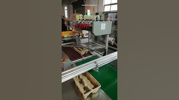 Product tray box weight checking machine with rejecting system L bar sealer equipment