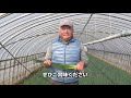 【福岡県・食育動画】博多万能ねぎ