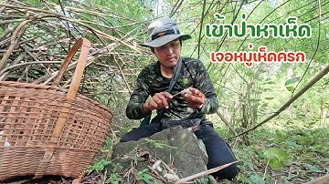 เข้าป่าหาเห็ด ชุดสุดท้ายของฤดูกาล ฟลุคเจอเห็ดครกหมู่ใหญ่ ตั้งแต่ก้าวแรกๆ