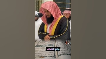 قرآن كريم تلاوة بديعة القارئ الشيخ أنس العمادي