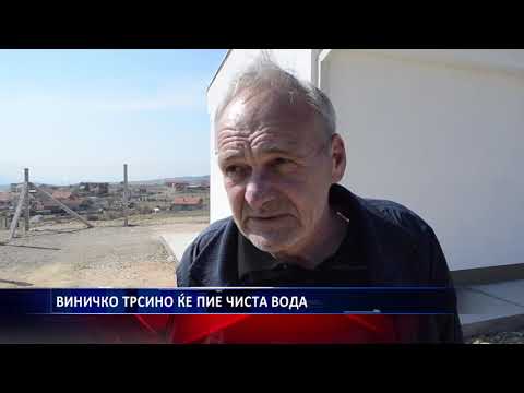 ВИНИЧКО ТРСИНО ЌЕ ПИЕ ЧИСТА ВОДА 21 03 2019