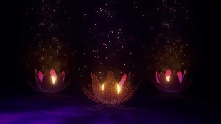 Magic pink lotus flower with sparkle meditation background stock footage | stock video | Cinefootage screenshot 5