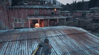 Days Gone Big Horde