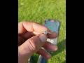 Pasja z wykrywaczem ODKRYWAMY ZNALEZIONE SKARBY #metaldetecting #pasja #youtubeshorts #chort