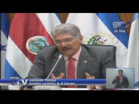 COMISIÓN POLÍTICA elton john