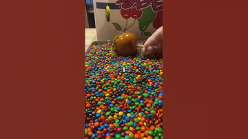 I SEARCHED my PARENT