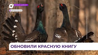 В Красной книге Приморского края произошли изменения