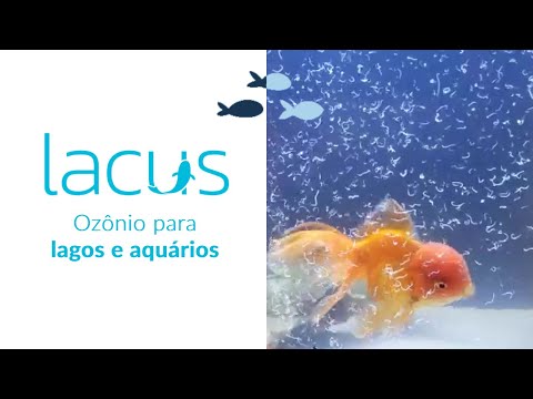 Ozônio para Aquários e Lagos | Depoimento Constantino | Panozon Lacus