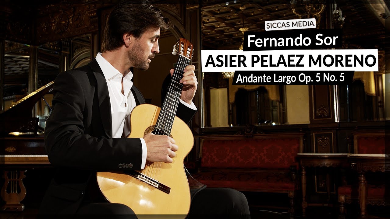 Asier Peláez Moreno plays Andante Largo Op. 5 No. 5 by F. Sor | Siccas Media