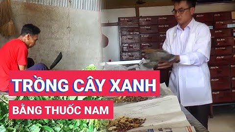Lan tỏa phong trào trồng hàng rào cây xanh bằng cây thuốc nam