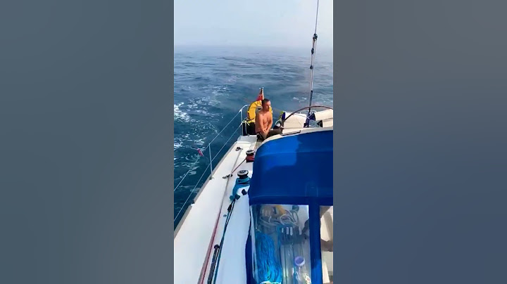 Orcas attack boat and take control of rudder. #orca
