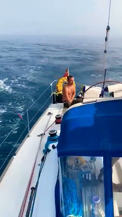 Orcas attack boat and take control of rudder. #orca