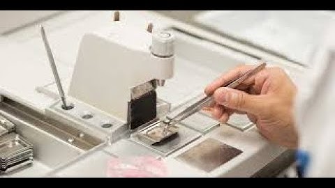 Surgical pathology CPT codes - simplify medical coding