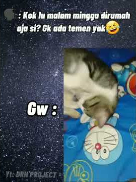 STORY WA KUCING TIDUR LUCU || MALAM MINGGU || GWA BE LIKE🤣||30 detik #SHORTS