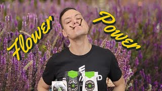 Hemp PLUS Another Herb You've Never Smoked