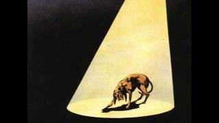 Rino Gaetano - Sfiorivano Le Viole