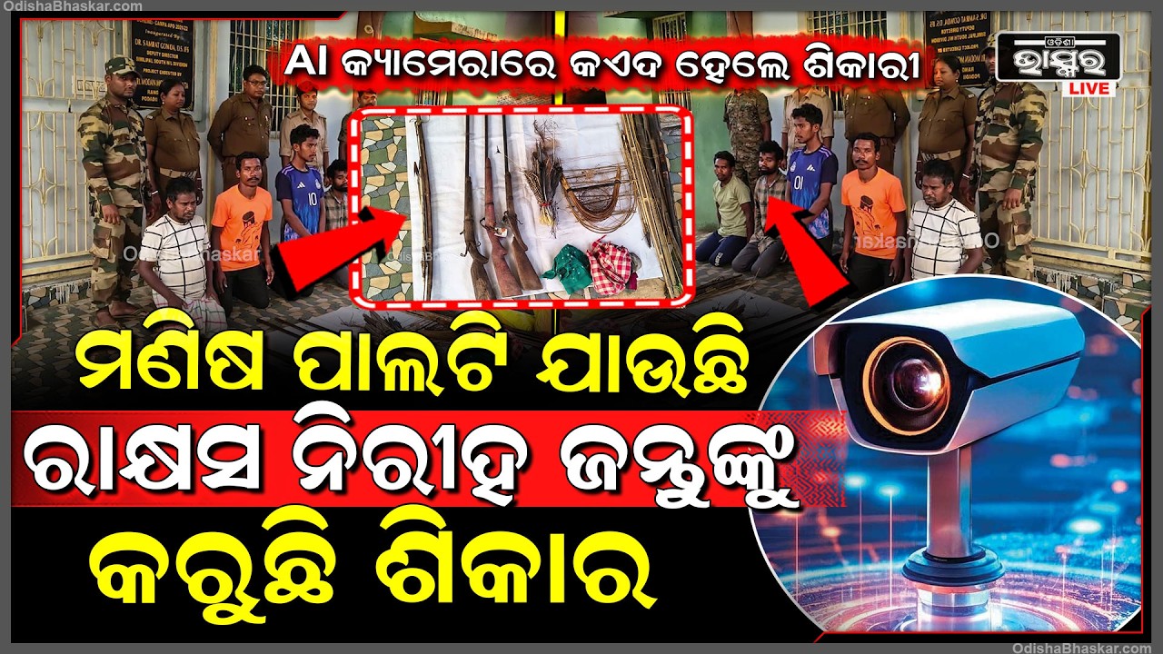 AI କ୍ୟାମେରାରେ କଏଦ ହେଲା ଦୃଶ୍ୟ...ମଣିଷ ପାଲଟି ଯାଉଛି ରାକ୍ଷସ ଗୋଟେ ପରେ ଗୋଟେ ନିରୀହ ଜନ୍ତୁଙ୍କୁ କରୁଛି ଶିକାର
