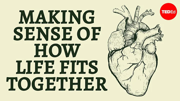 Making sense of how life fits together - Bobbi Sel...