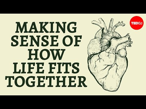 Making sense of how life fits together - Bobbi Seleski