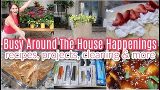 Recipes, Projects, Cleaning, Sourdough Crepes, Baby Proofing & More! Busy Around The House Happening