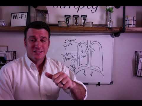 Респираторная терапия: внутрилёгочное и внутриплевральное давление