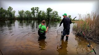 Обрізай шнур ми його не возьмемо! Коропа проснулися на Дніпрі !