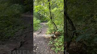 Как стабилизировать эмоциональный фон. Терапия пешком #пешком #кардио #здоровье
